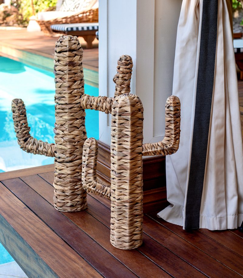 Deniz Çayırı Kaktüs