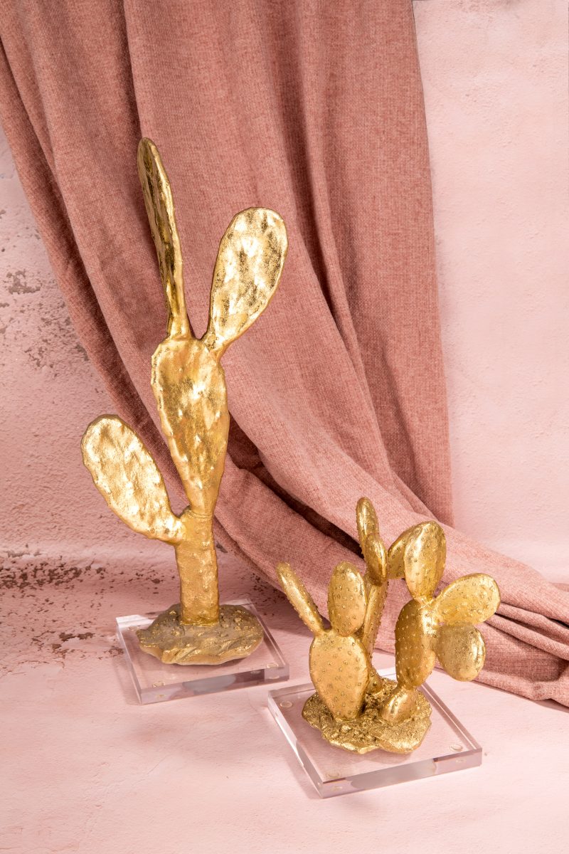 Kaktüs Dekoratif Obje